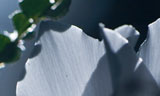 portfolio8